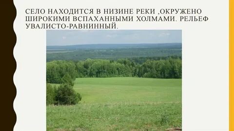 Текст утром в низинах