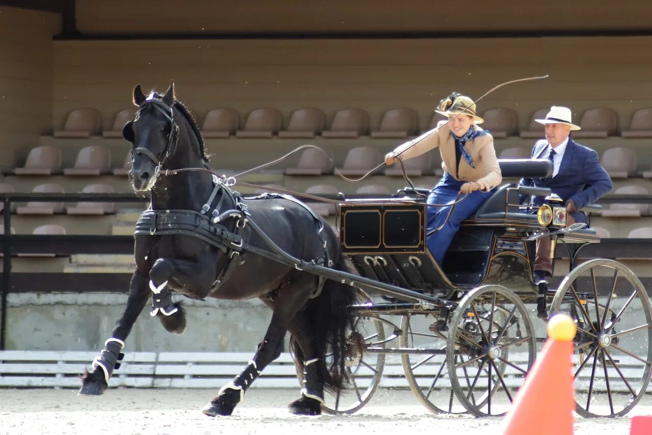 Driving horse