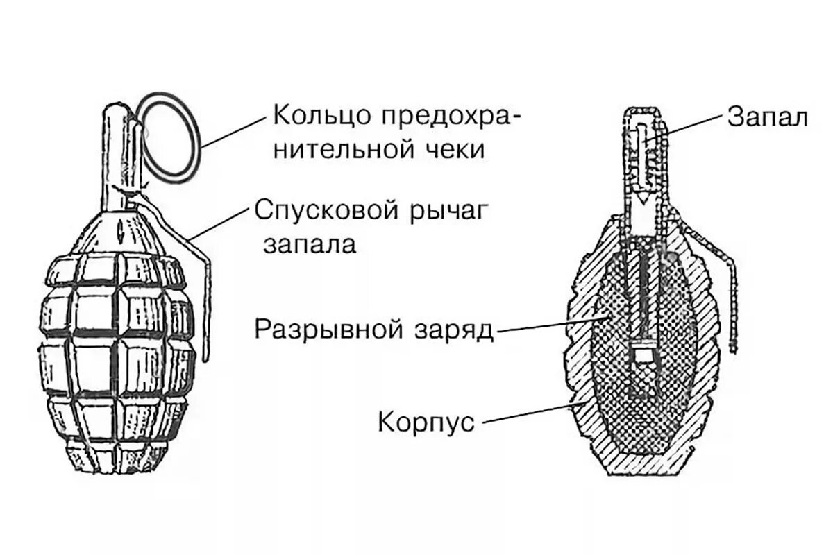 Схема гранаты ф1. Структура гранаты ф1. Строение гранаты ф1. Составные части гранаты ф1.