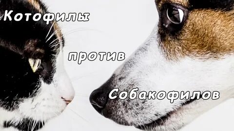 Пассивные животные
