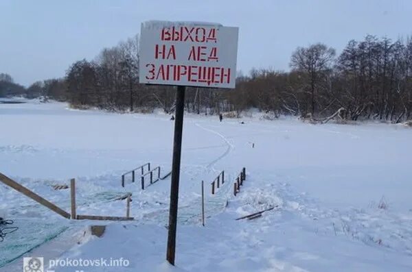 Уровень воды река цна. Река Цна Котовск. Уровень воды в река Цна Тамбов. Уровень воды в Цне Тамбов сегодня. Уровень воды в реке Цна Сасово.