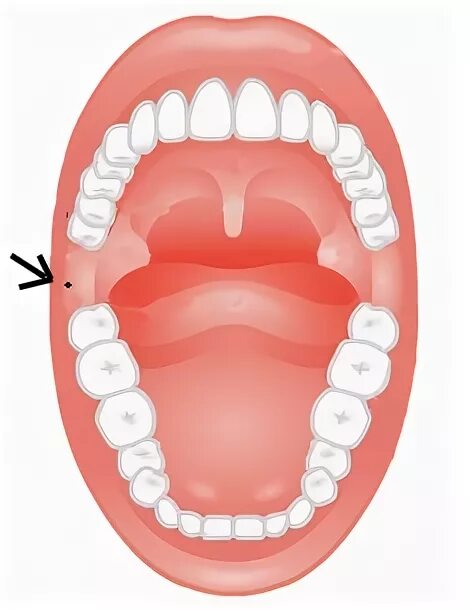 нижняя точка неба