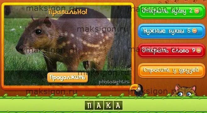 Алиса игры угадай животных. Животные уровень 53. угадай животное по фрагменту. игра в одноклассниках про зверей в лесу. угадай животных все ответы.