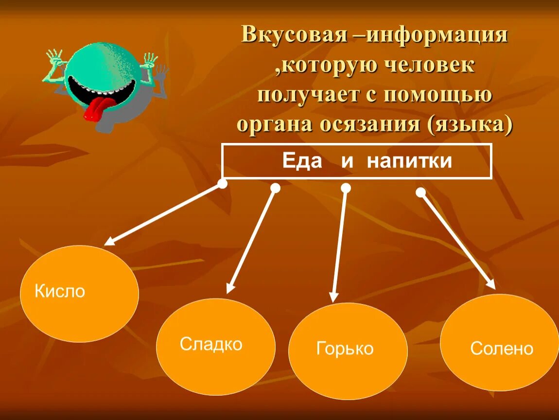 Информация полученная с помощью языка