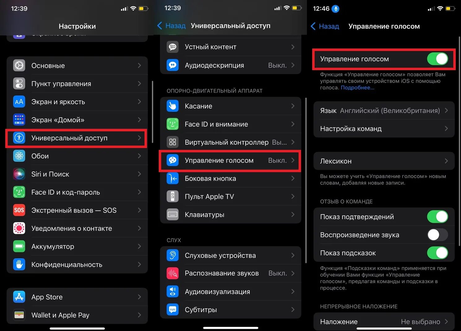 Включить голосовую помощь. Управление голосом айфон команды. Голосовое управление. Golosovoy upravleniya. Команды для голосового управления айфоном.