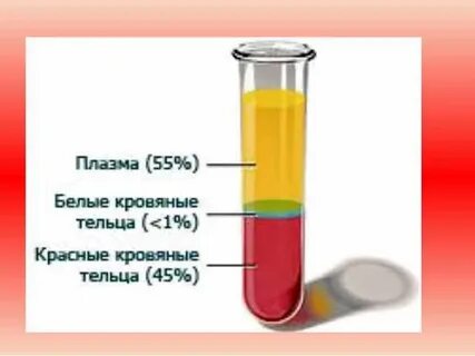 Плазма компоненты