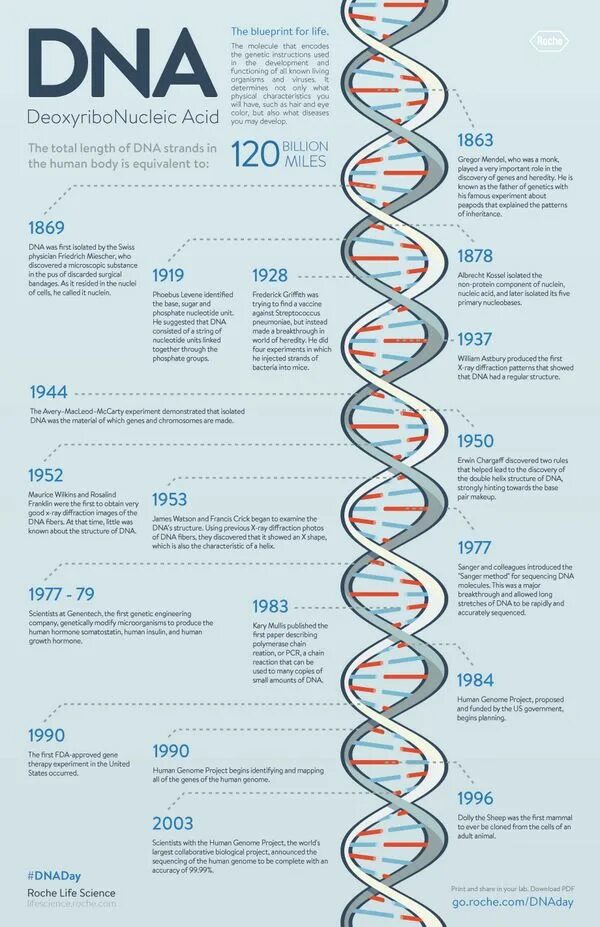 Пять тестов днк. Днк. днк тест. human genome project. who discovered dna.