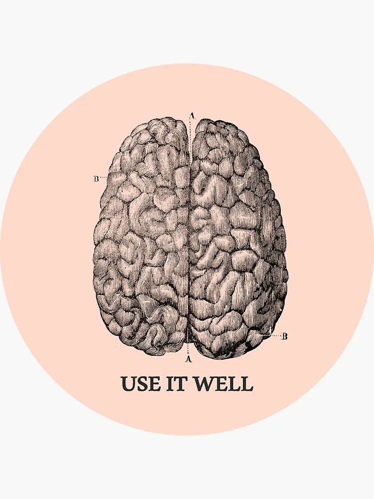 Can i use it. Мозг use it. мозг обои. мозг графика. use it мозги.