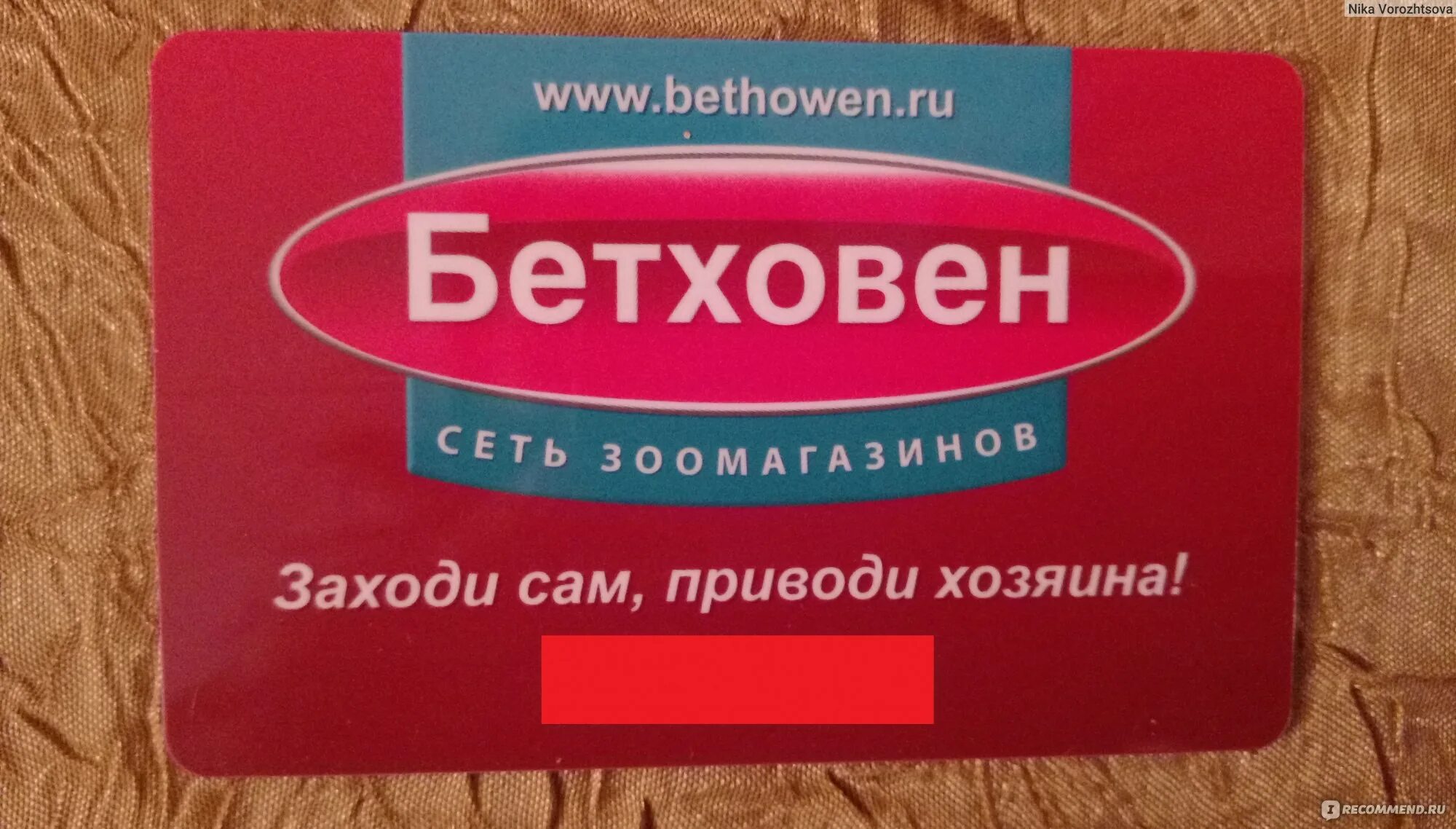 Ул наметкина 9 бетховен. Магазин бетховен саров. Бетховен лого. Бетховен саров. Зоомагазин бетховен в москве.