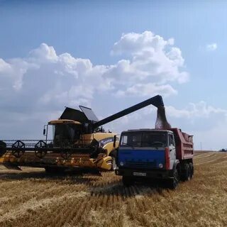 Красногвардейская зерновая