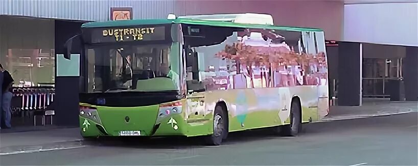 T bus time