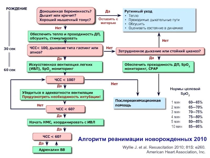 Реанимация новорожденных алгоритм. Схема первичной реанимации новорожденного. реанимационные мероприятия протокол для новорожденных. реанимация новорожденного алгоритм действий. алгоритм действий при первичной реанимации новорожденного.