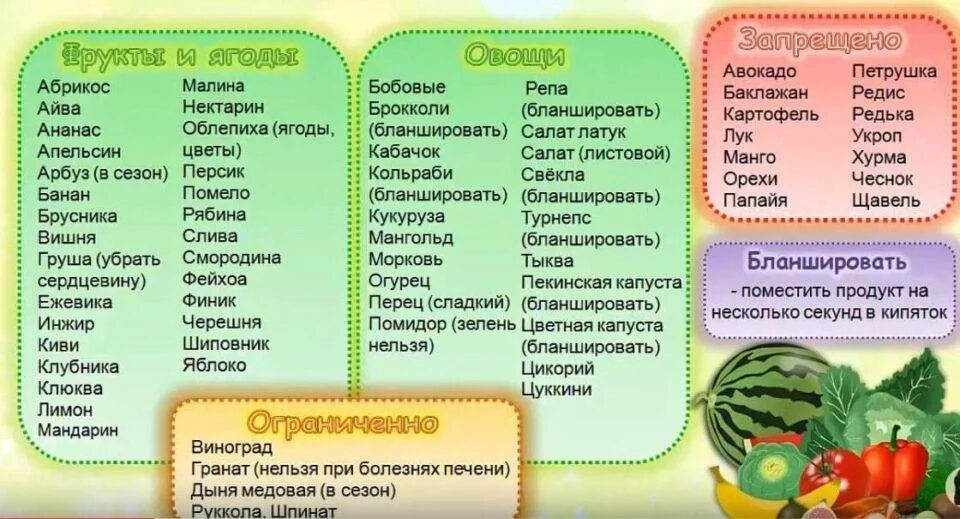 Какие фрукты и овощи можно давать волнистым попугаям. Какими фруктами можно кормить волнистого попугая. Что можно волнистым попугаям. Что нельзя есть волнистым попугаям.