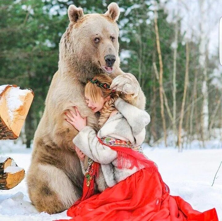 Осторожно с блинами медведь. Медведь Россия. Русская красавица с медведем.