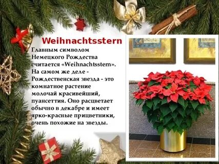 Что символизирует рождество