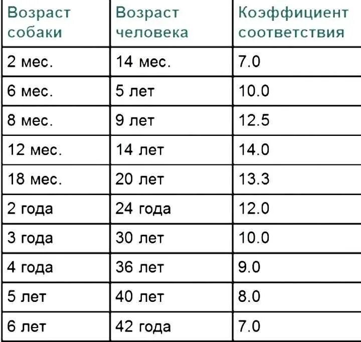 Соотношение возрастов