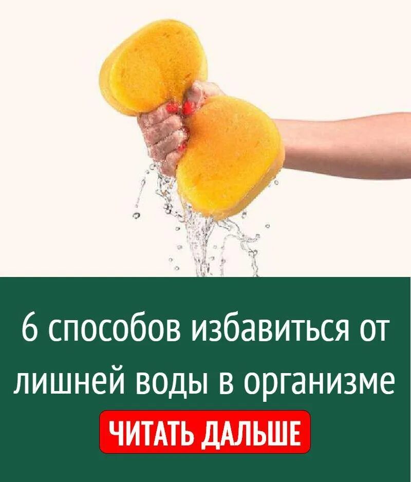 Вывод лишней воды из организма. Вывести жидкость из организма. Выведение жидкости из организма излишней. Вывести воду из организма лишнюю.