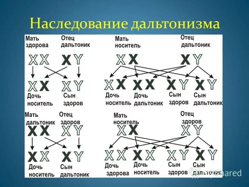 Они передавали по наследству