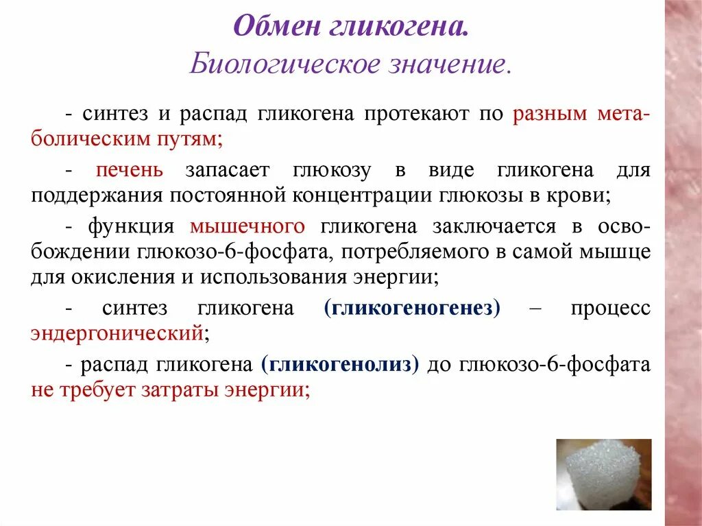 Распад значение. Какова биологическая роль гликогена. Биологическая роль биосинтеза гликогена. Синтез гликогена биологическая роль. Функции гликогена биохимия.