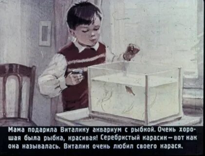 Настя карасик