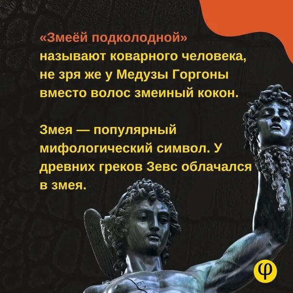 Ты прости что я такая подколодная змея. Змея подколодная значение. Что значит подколодная. Выражение змея подколодная. Почему змея подколодная.