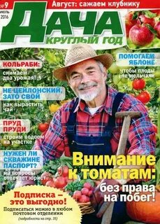 Что сажают в августе