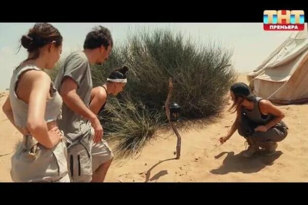 Мамаев выжить в дубае. Выжить в дубае 8 выпуск. Выжить в дубае 8 выпуск. Шоу выжить в дубае. Выжить в дубае участники.