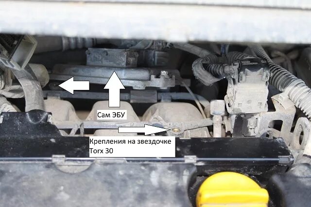 Блок управления ЭБУ () OPEL CORSA D1.2Z12XEP ДВИГАТЕЛЕМ AX 55557933 купить: цена