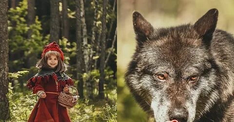 Шапка серый волк