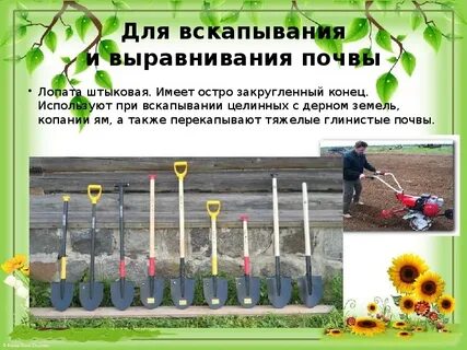 Правила почвы