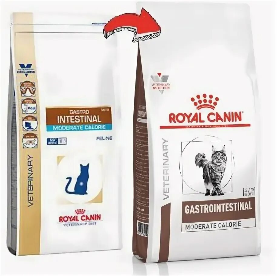 Royal canin gastrointestinal для кошек сухой. Корм для кошек Роял Канин гастро Интестинал. Роял Канин гастро Интестинал для котят. Роял Канин гастро для кошек сухой. Royal Canin moderate Calorie для кошек.
