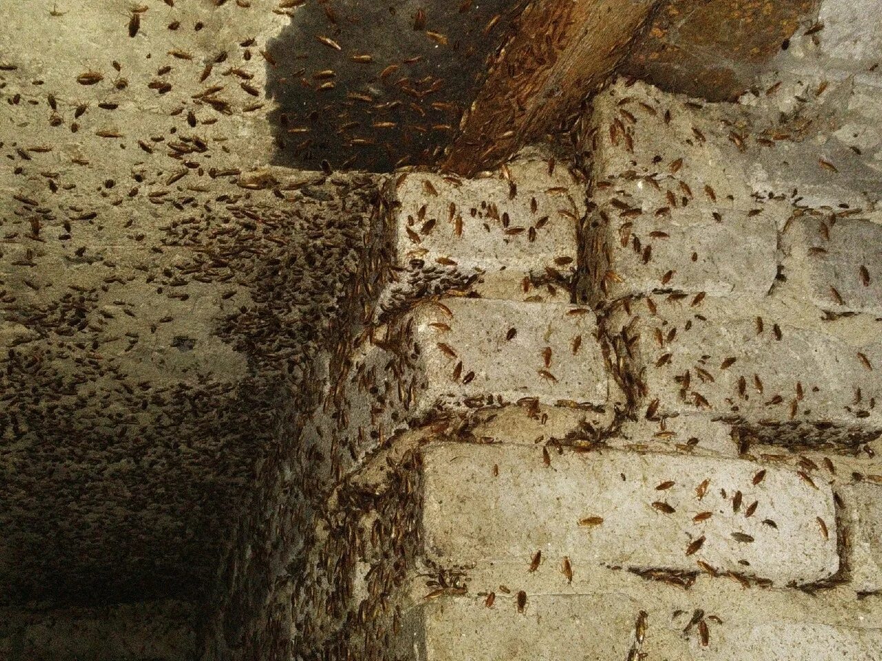 Город березники ул пятилетки. Пятилетки 25. Пятилетки 25. Пятилетки 25. 3 пятилетка 25 новодвинск.