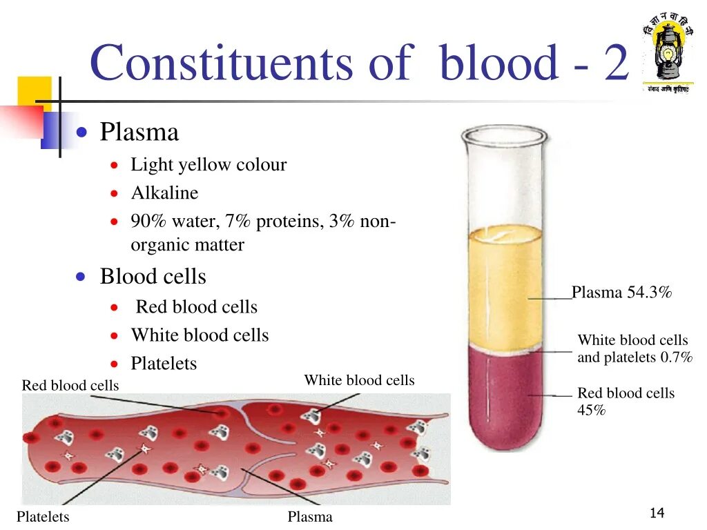 Blood Plasma Proteins. Blood Cell System. Blood components. Functions of Blood. Плазма крови в лицо