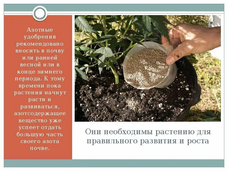 Гуми оми. Удобрение азотовит для роз. Универсальное азотное удобрение 1кг, грядкино. Удобрение гуми-оми-азот мочевина 0,5 кг. Гуми–оми азот мочевина 0,5 кг.