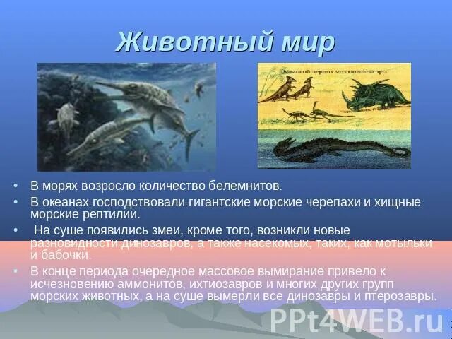 Мезозой период представители. Эра Мезозойская меловой морские хищники. Животные мезозойской эры список.