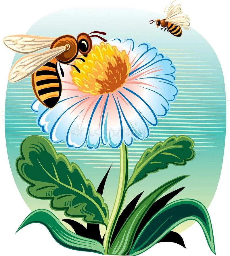 Нектар рисунок. Пчела на цветке. Пчелка и цветок Ромашка. Пчелка на цветочке. Пчела на цветке рисунок.