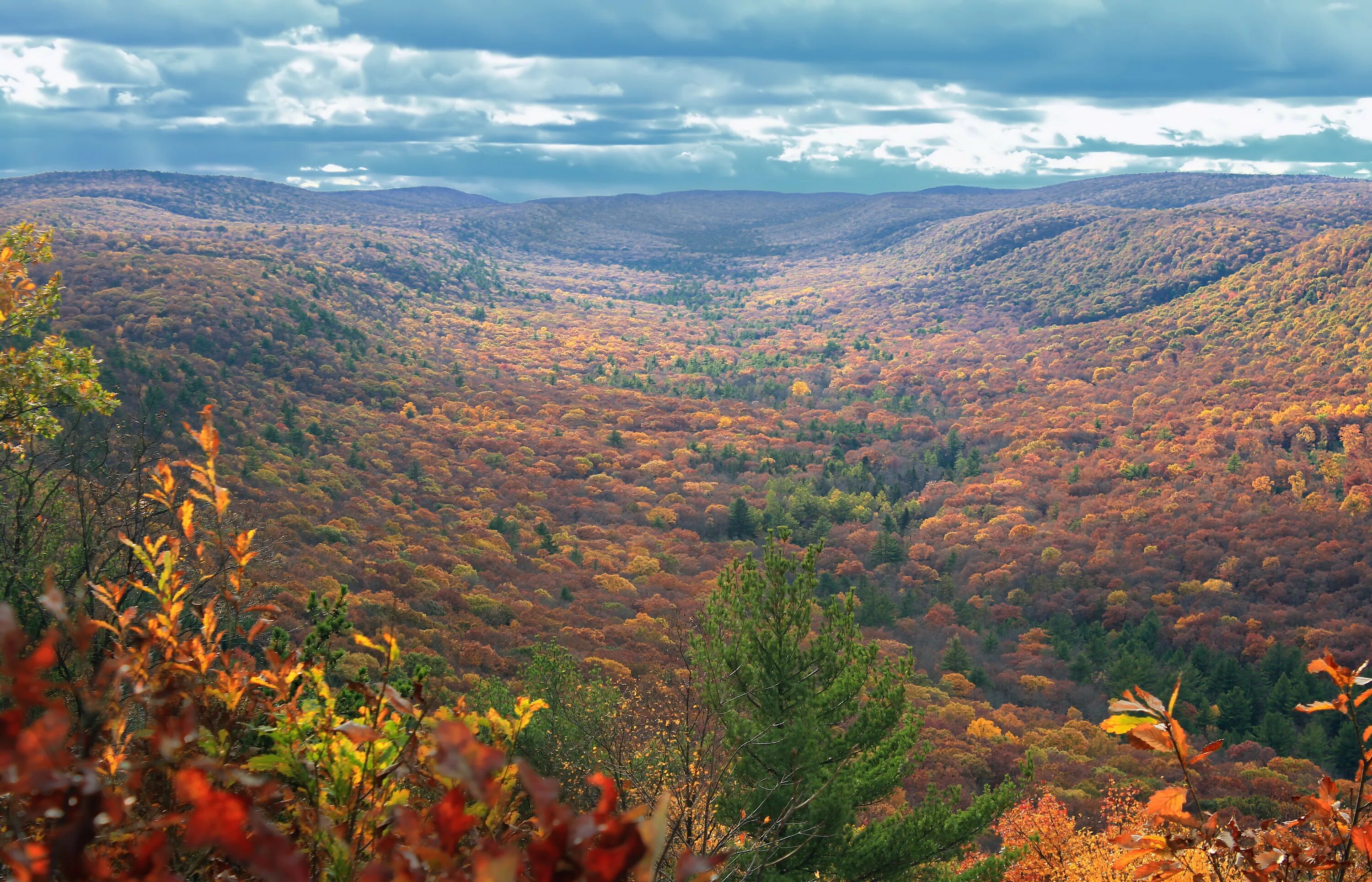 During the fall. Аппалачи Пенсильвания. Леса Аппалачи. Горы Аппалачи США. Аппалачское плато.