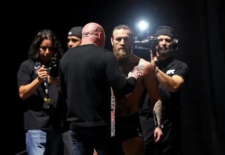 Телеграмм боев ufc