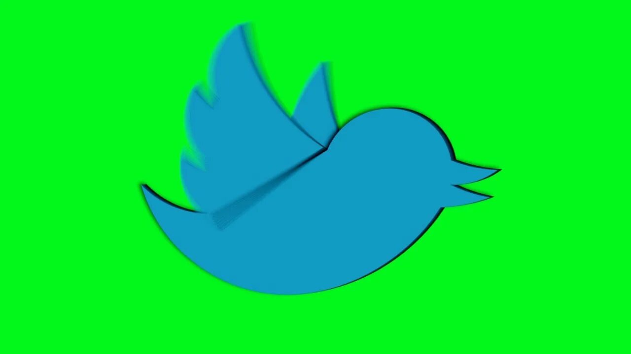 Twitter animations. Twitter птичка 3d. 3d Bird animation. Twitter animation. Big Green animation twitter.