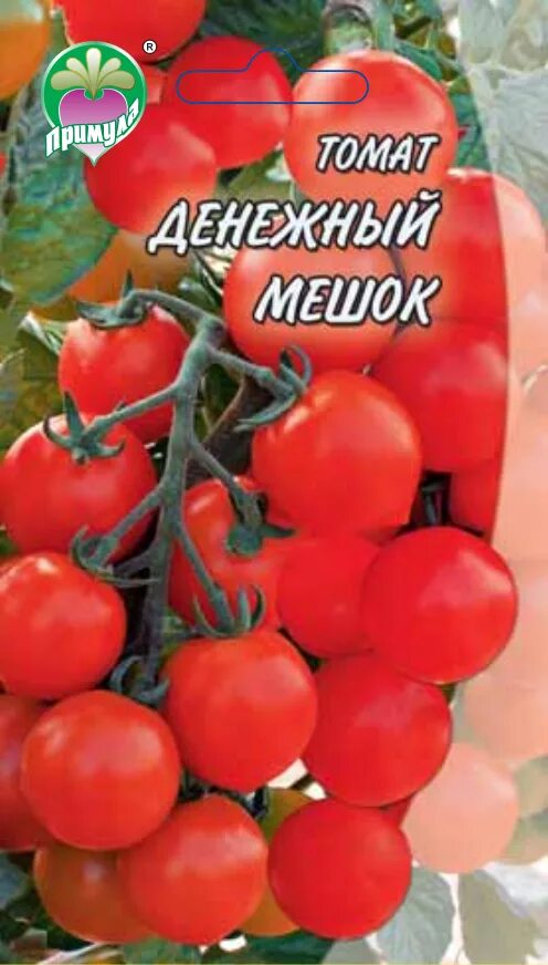 Томат денежный мешок характеристика. Томат черри денежный мешок. Денежный мешок помидоры описание сорта. Семена томат денежный мешок.