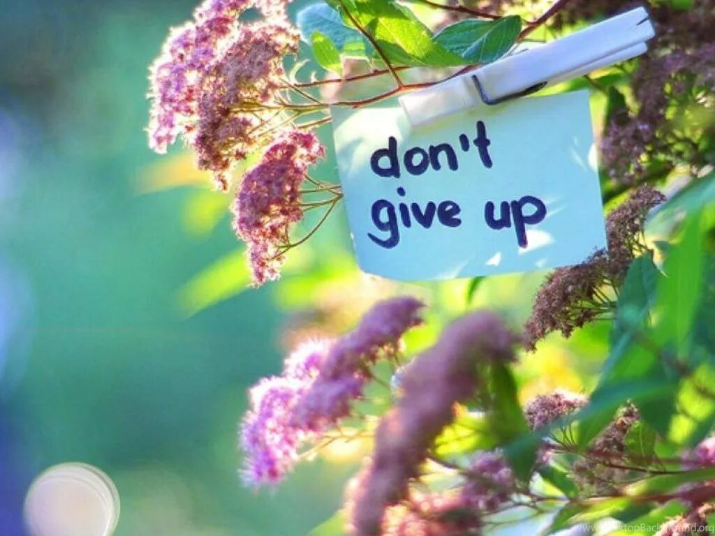 Don t good. Don`t give up. Don't give up картинка. Don't give up игра. Don't give up up Wallpaper.