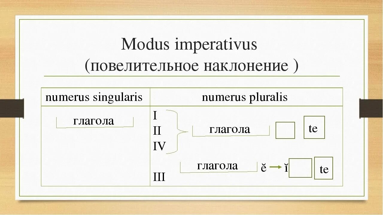 Наклонения латинских глаголов