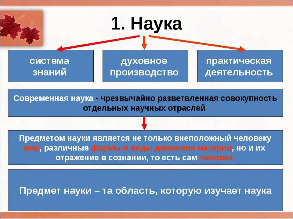 Гуманитарные знания в современном обществе. Наука это система знаний. Формы и виды науки. Система наук. Виды современной науки.