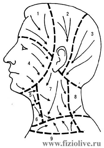 Линия затылка. Неврит лицевого нерва точечный массаж. Неврит лицевого нерва массаж. Массаж при неврите лицевого нерва. Самомассаж лица при неврите лицевого нерва схема.