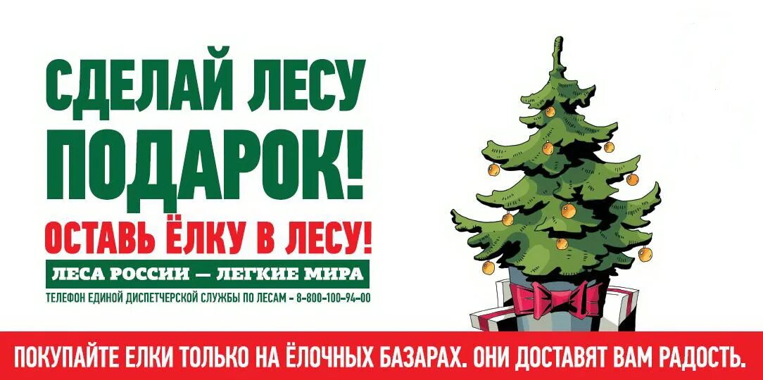 Сохранение хвойных деревьев. Против вырубки елок на новый год. листовка в защиту хвойных насаждений. охрана елок в предновогодний период. плакат против вырубки елок.