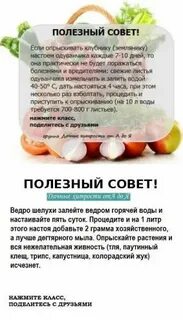 Полезные советы для дач и огородов