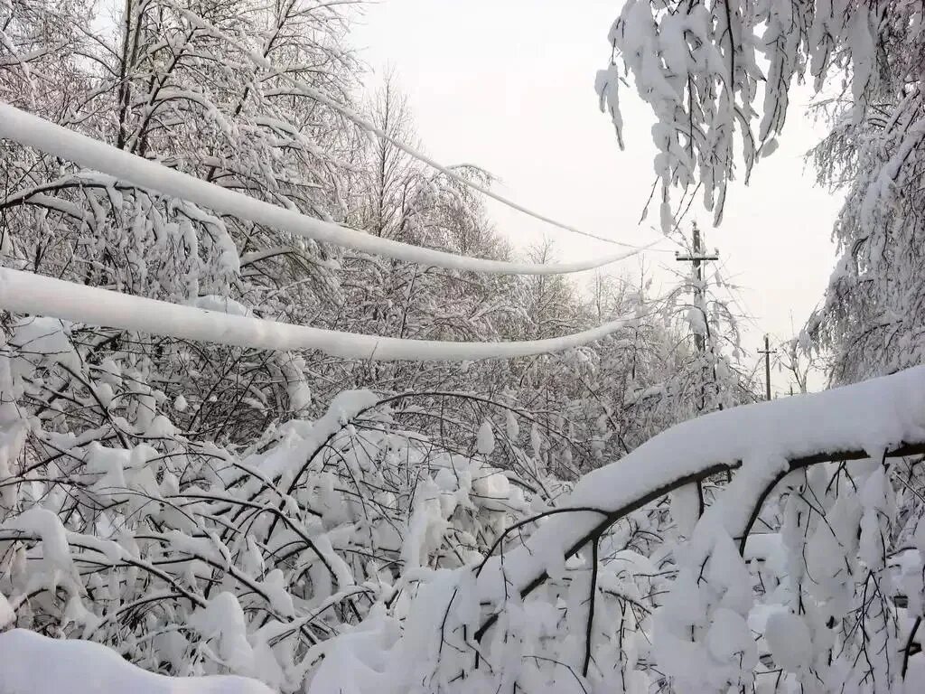 Иней на проводах. Налипание снега на провода. Снег на проводах. Налипание мокрого снега. Налипание мокрого снега на проводах и деревьях.