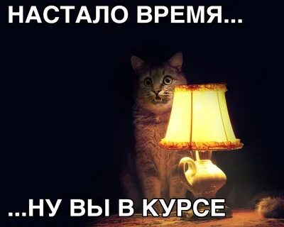 Настало время собирать
