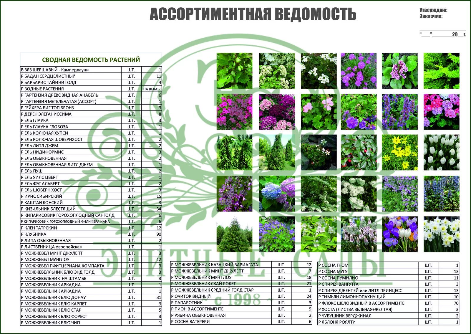 Ежедневное планирование комнатные растения. Ассортиментная ведомость растений таблица. Ассортиментная ведомость посадочного материала. Ассортиментная ведомость растений для цветников. Ассортиментная ведомость растений в ландшафте.