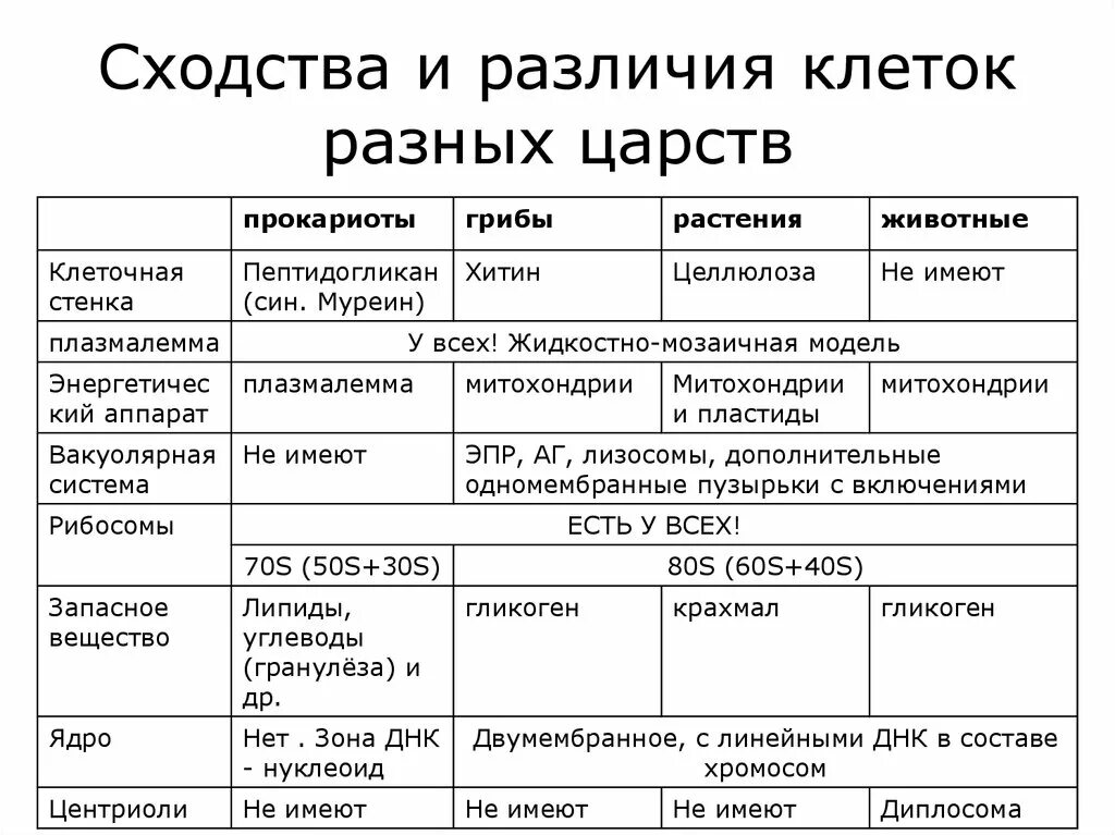 Отличие клеток Царств живой природы. Различия между клетками растений животных грибов и бактерий. Сравнение клеток разных Царств таблица. Различия клеток растений животных грибов. Характеристика животных и растительных клеток